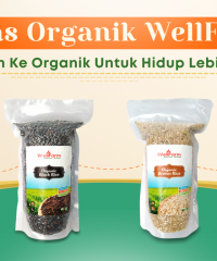 Wellfarm Produsen Supplier Beras Organik